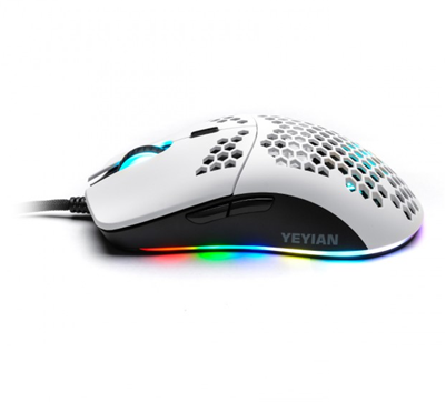 YMG-24311 mf1