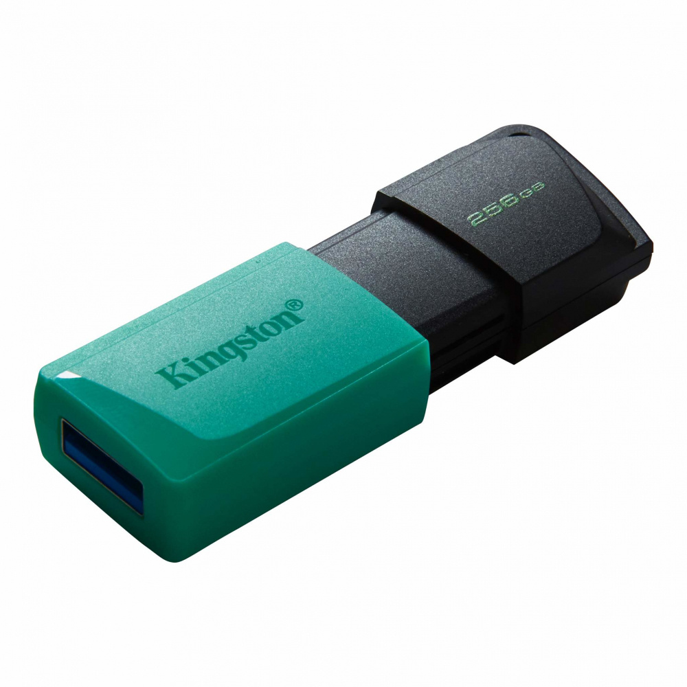 DTXM/256GB mf1