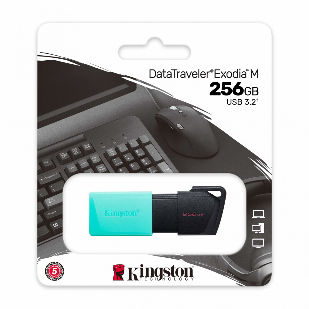 DTXM/256GB mf2