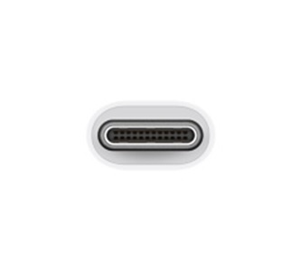 Adaptador Apple de USB-C a USB