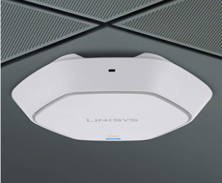 LAPN300 mf1