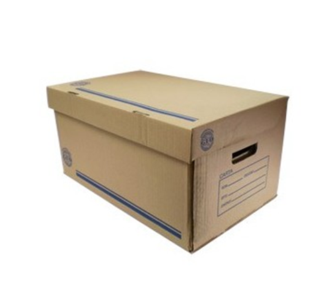 Caja para Archivo Cartón, Carta, 50x31x25 cms, GEO 004