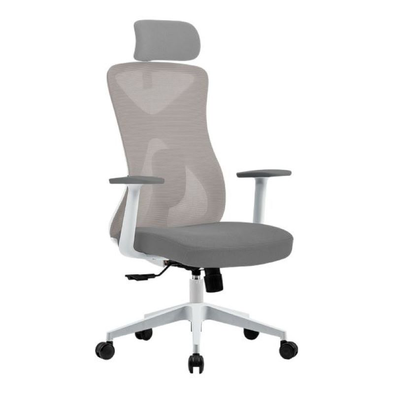 Silla de Oficina Ergonómica, FLOE PRO EC737 Elite Series, Ajuste Lumbar, Reposa Brazos Fijo, Color Blanco, ACTECK AC-937245
