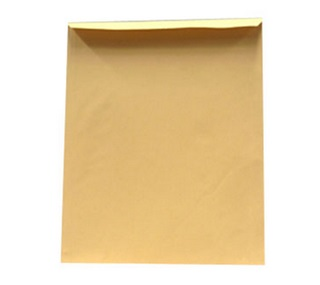 Sobre Bolsa Tamaño Carta (23 x 30.5 Centímetros), C/ Rondana e Hilo, MAPASA 827