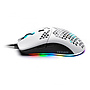 YMG-24311 mf1