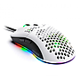 YMG-24311 mf2