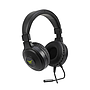 NA-0317 mf1