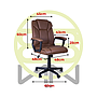 CH-APEXBROWN mf1