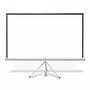 Pantalla de Proyección Manual con Tripie, 120" Diagonal, 213.3 x 213.3 Centímetros, Color Blanco Mate, QIAN QPD-69603