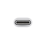 Adaptador Apple de USB-C a USB